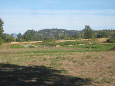 the C.R.O.P.S. acreage, September 2009